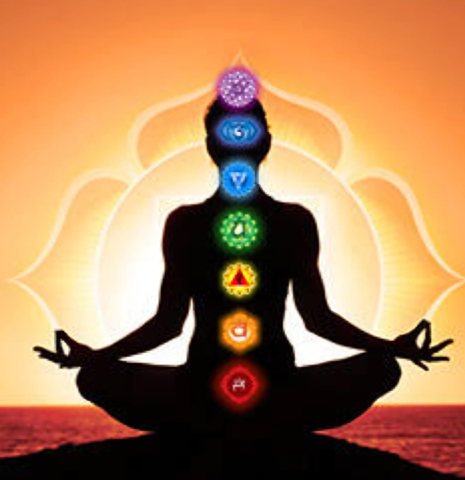 Nature Yoga and Wellness